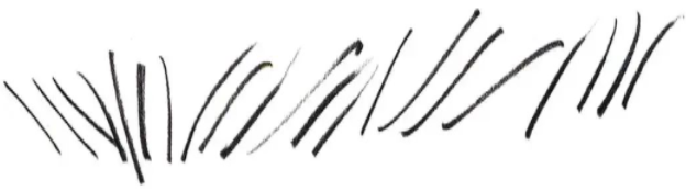 d6250f34a7c0208556a9288abf30f746.png